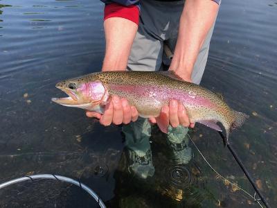 Fly Fishing Shop & Guide Service Branson MO | River Run Outfitters